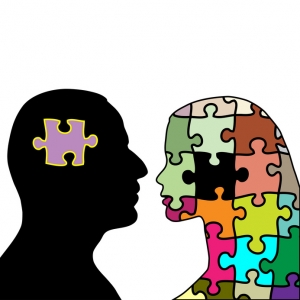 Differenze di genere e cervello umano: maschi e femmine sono uguali?
